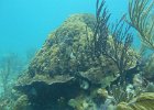 spiegel-grove-christ-abyss-horseshoe-reef-key-largo_42650858565_o